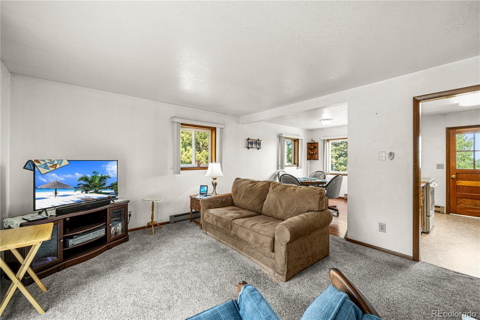206 Little Horn Road Westcliffe, CO 81252 - Photo 9 of 35