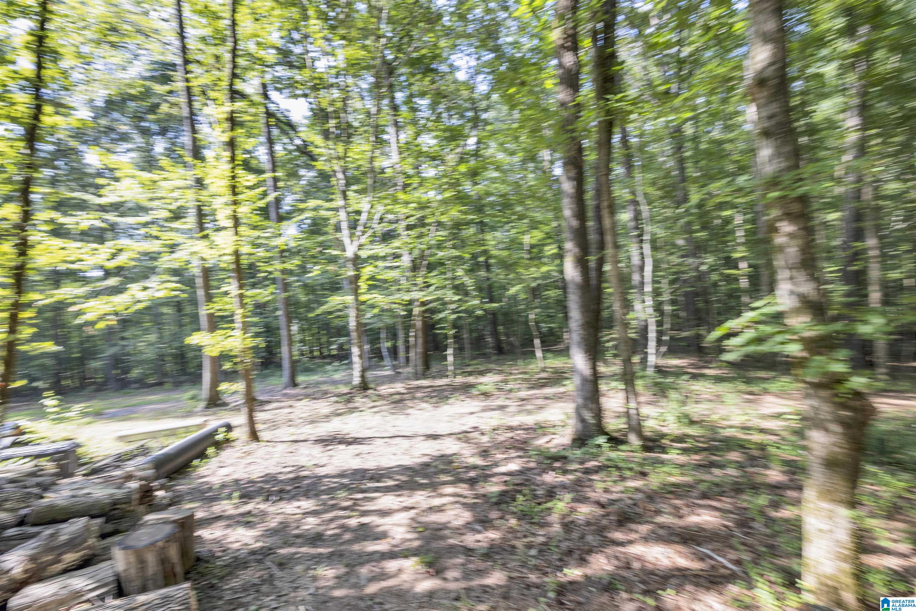 445 Berrington Lane Springville, AL 35146 - Photo 53 of 55 Gallery Image 53