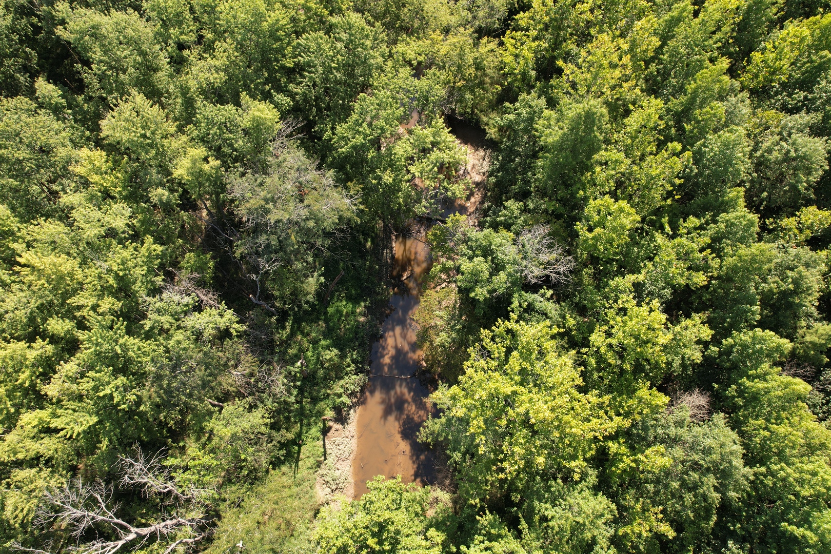 Tract 3 Mayflower Road Clay City, IL 62824 - Photo 14 of 28 a view of a forest with a tree