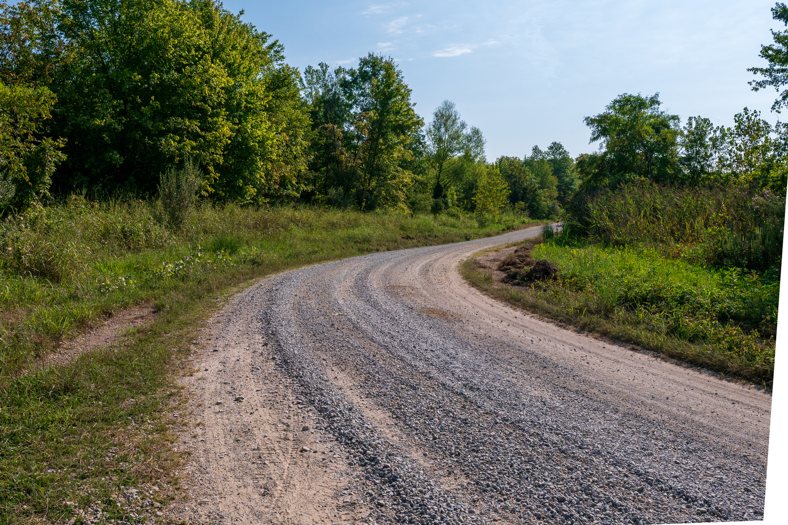 Tract 3 Mayflower Road Clay City, IL 62824 - Photo 16 of 28 a view of a yard with plants and a large tree