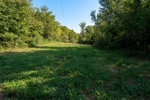 a view of a yard with a trees