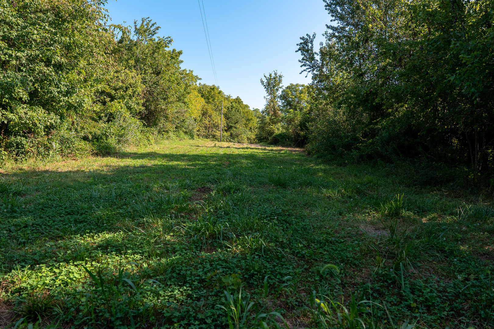 Tract 3 Mayflower Road Clay City, IL 62824 - Photo 18 of 28 a view of outdoor space and yard