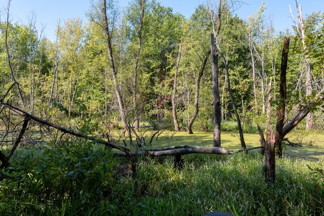 a view of mountain view