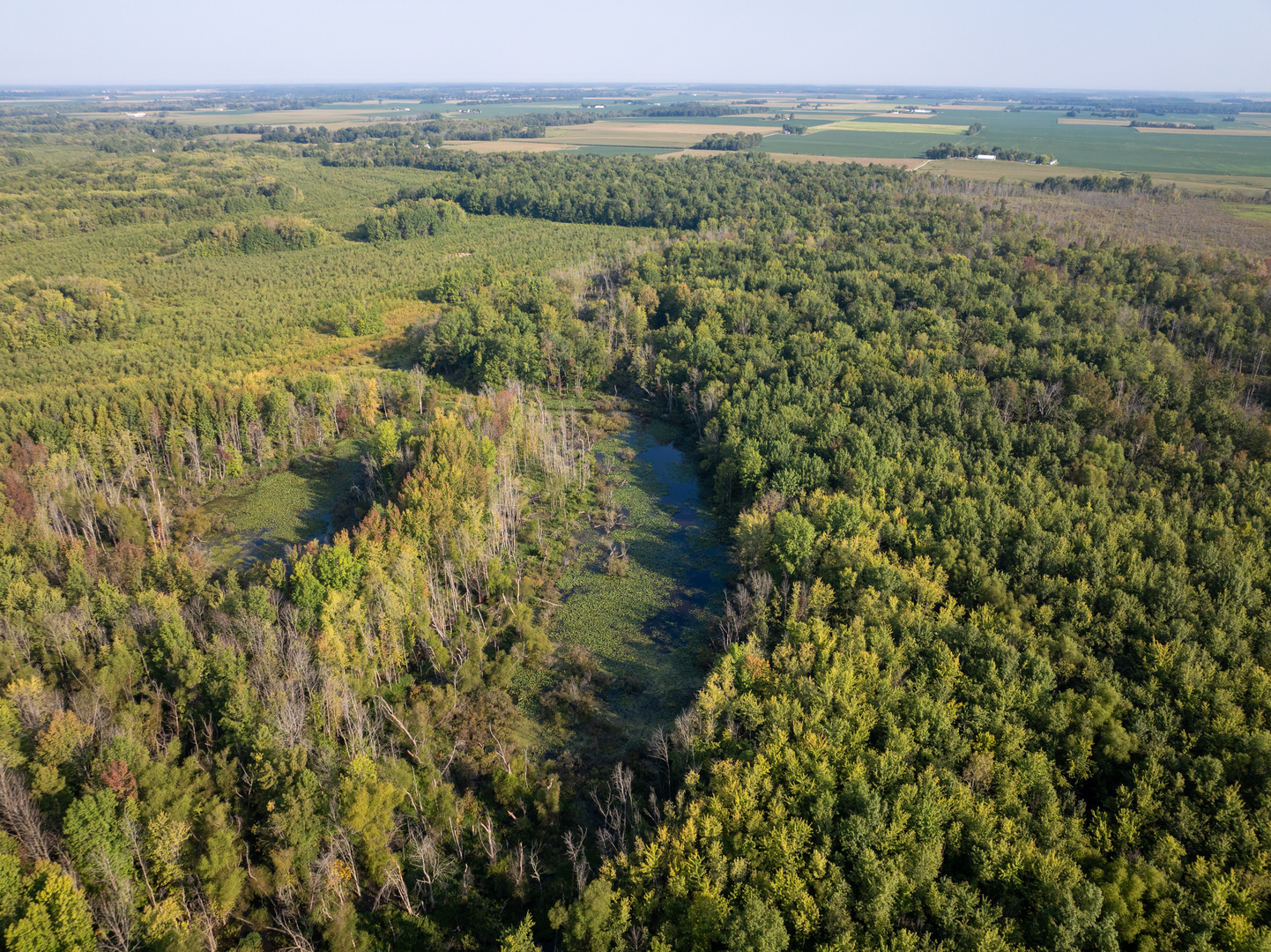 Tract 3 Mayflower Road Clay City, IL 62824 - Photo 2 of 28 a view of lake with mountain