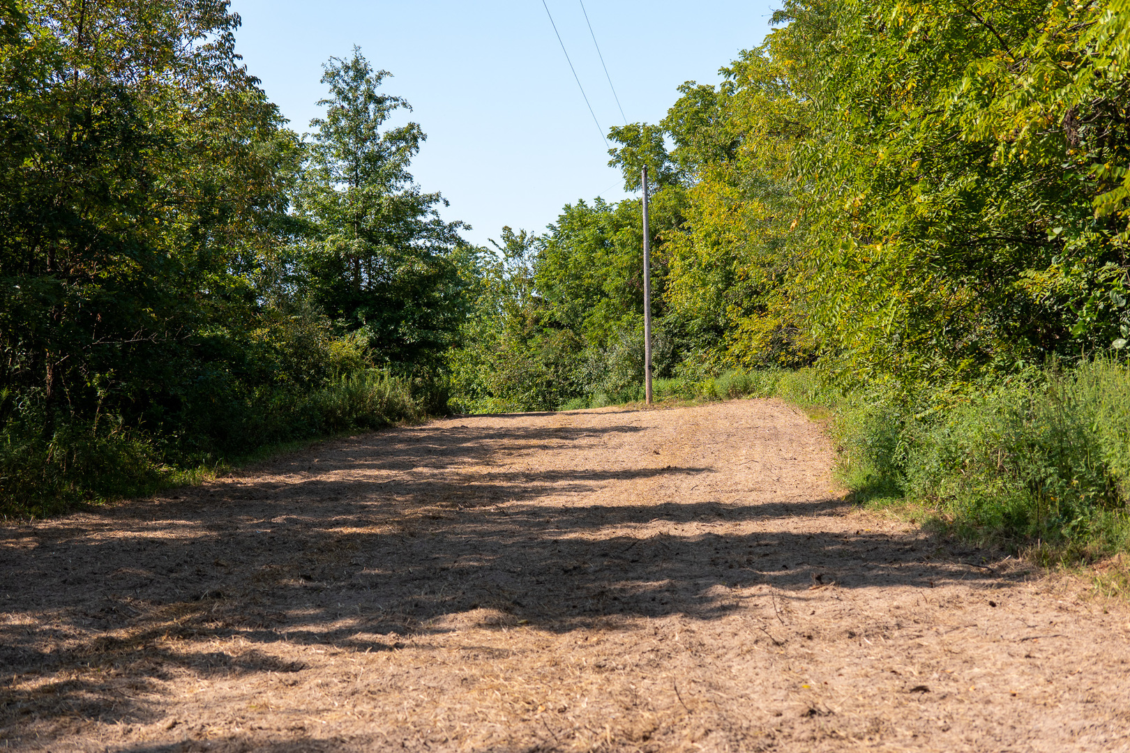 Tract 3 Mayflower Road Clay City, IL 62824 - Photo 21 of 28 a view of mountain view