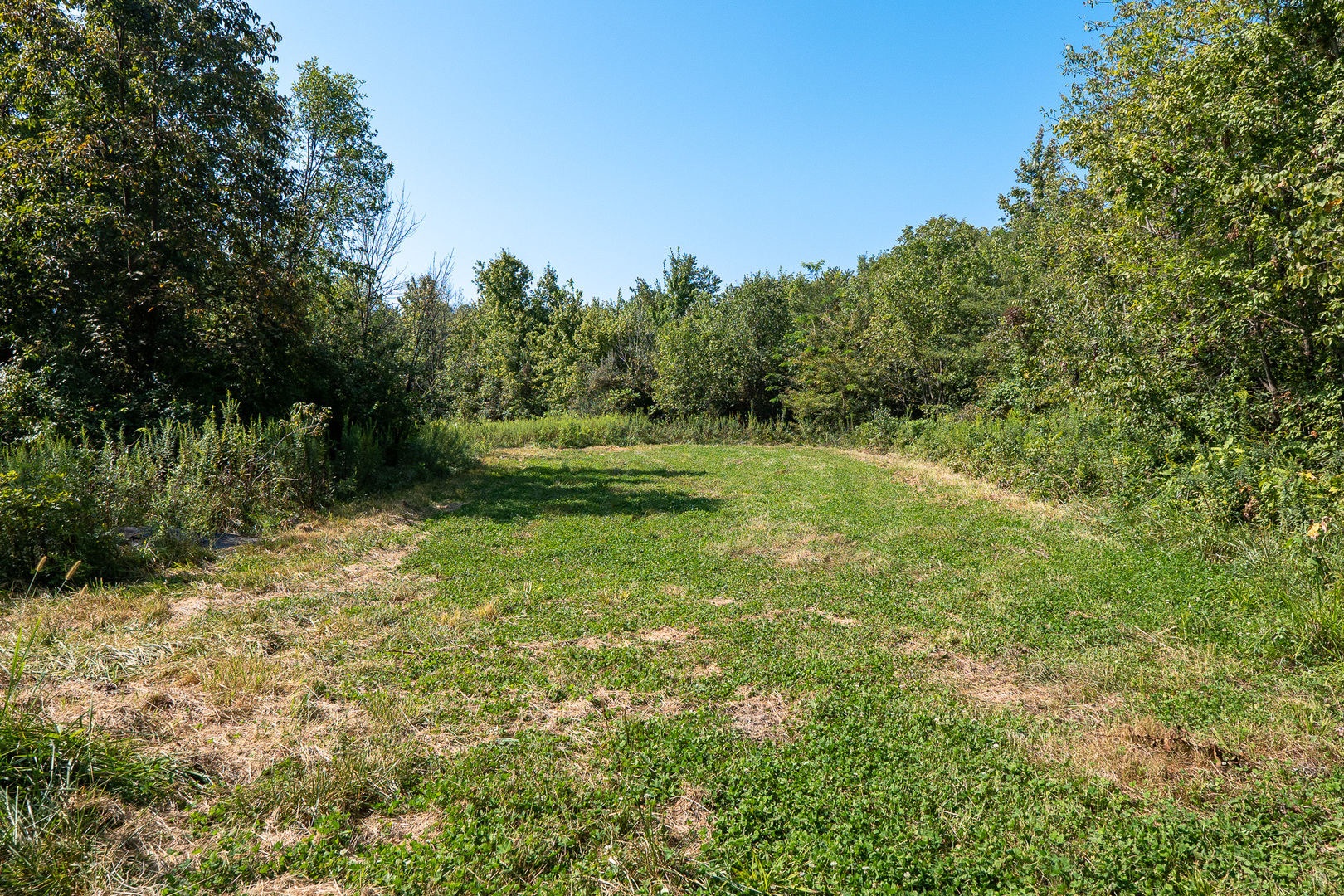 Tract 3 Mayflower Road Clay City, IL 62824 - Photo 22 of 28 a yard with trees in the background