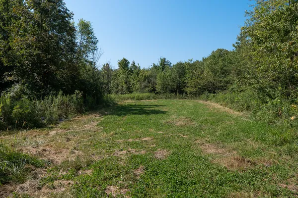 a view of a yard with a tree