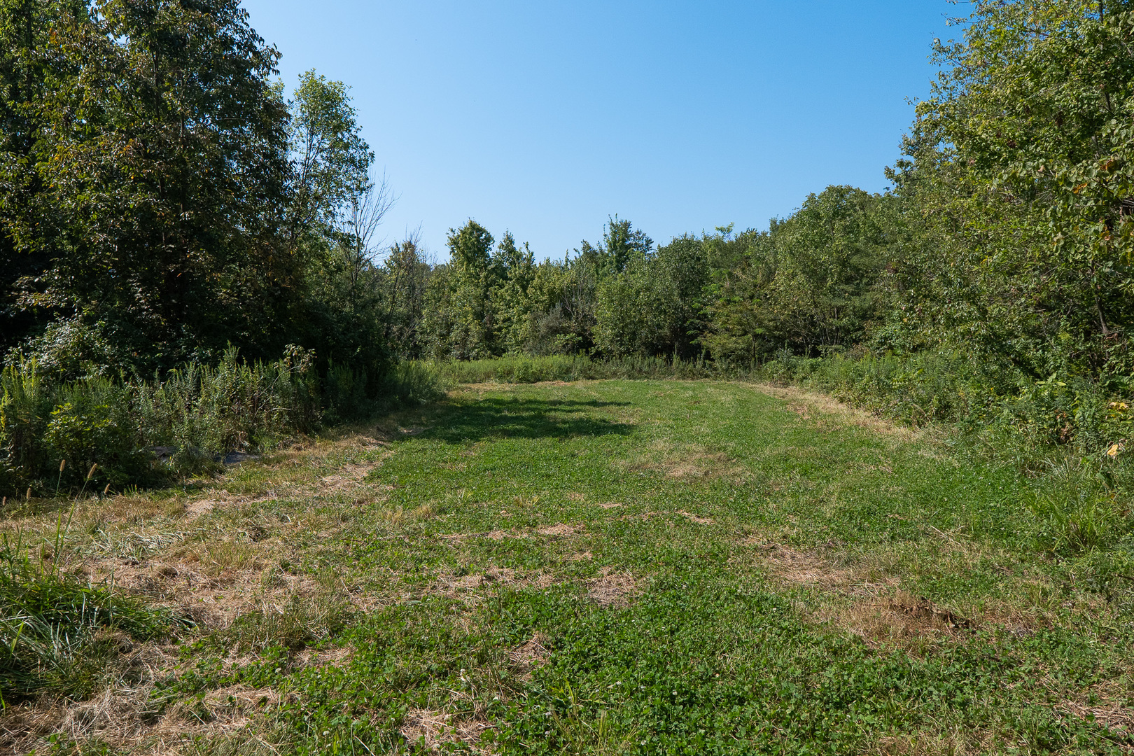Tract 3 Mayflower Road Clay City, IL 62824 - Photo 23 of 28 a big yard with lots of green space