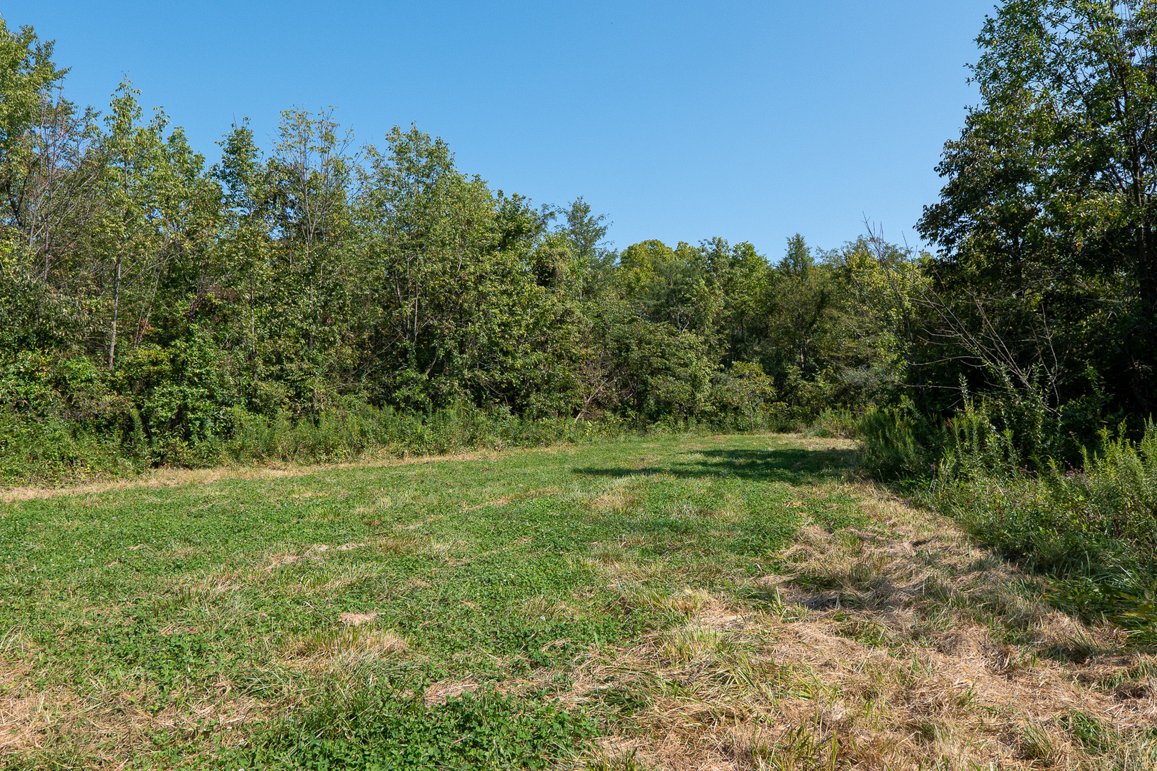 Tract 3 Mayflower Road Clay City, IL 62824 - Photo 24 of 28 a view of outdoor space and yard
