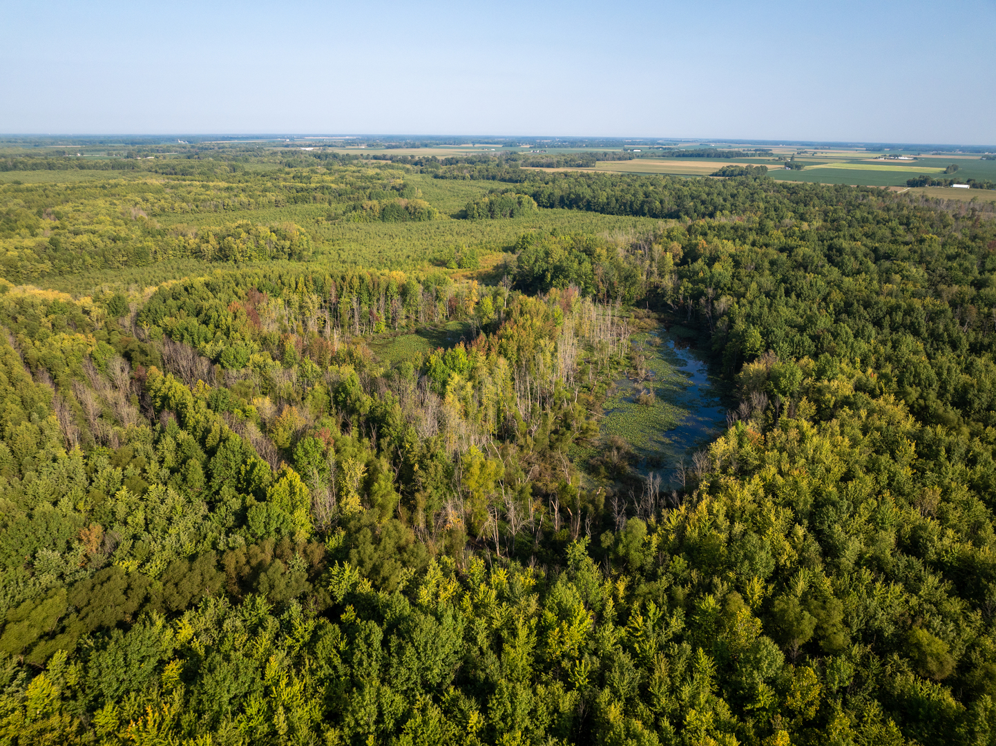 Tract 3 Mayflower Road Clay City, IL 62824 - Photo 3 of 28 a view of an outdoor space and a lake view