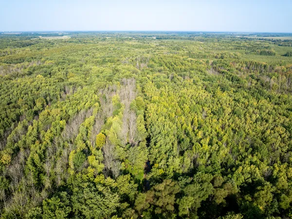 a view of an outdoor space with a lake view