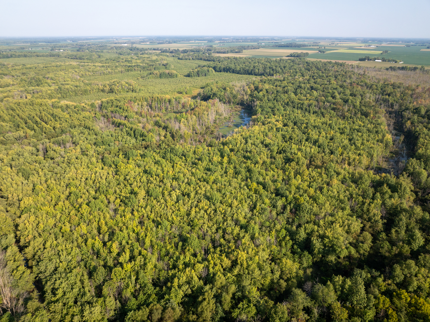 Tract 3 Mayflower Road Clay City, IL 62824 - Photo 6 of 28 a view of an outdoor space with a lake view