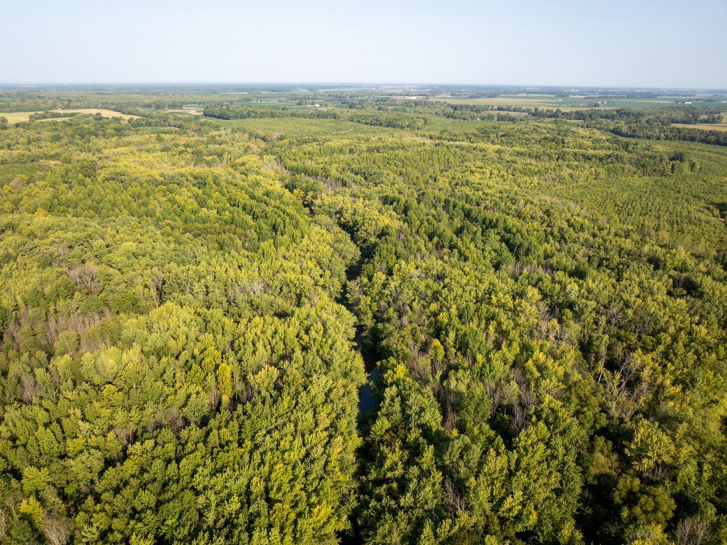 Tract 3 Mayflower Road Clay City, IL 62824 - Photo 7 of 28 a view of an ocean