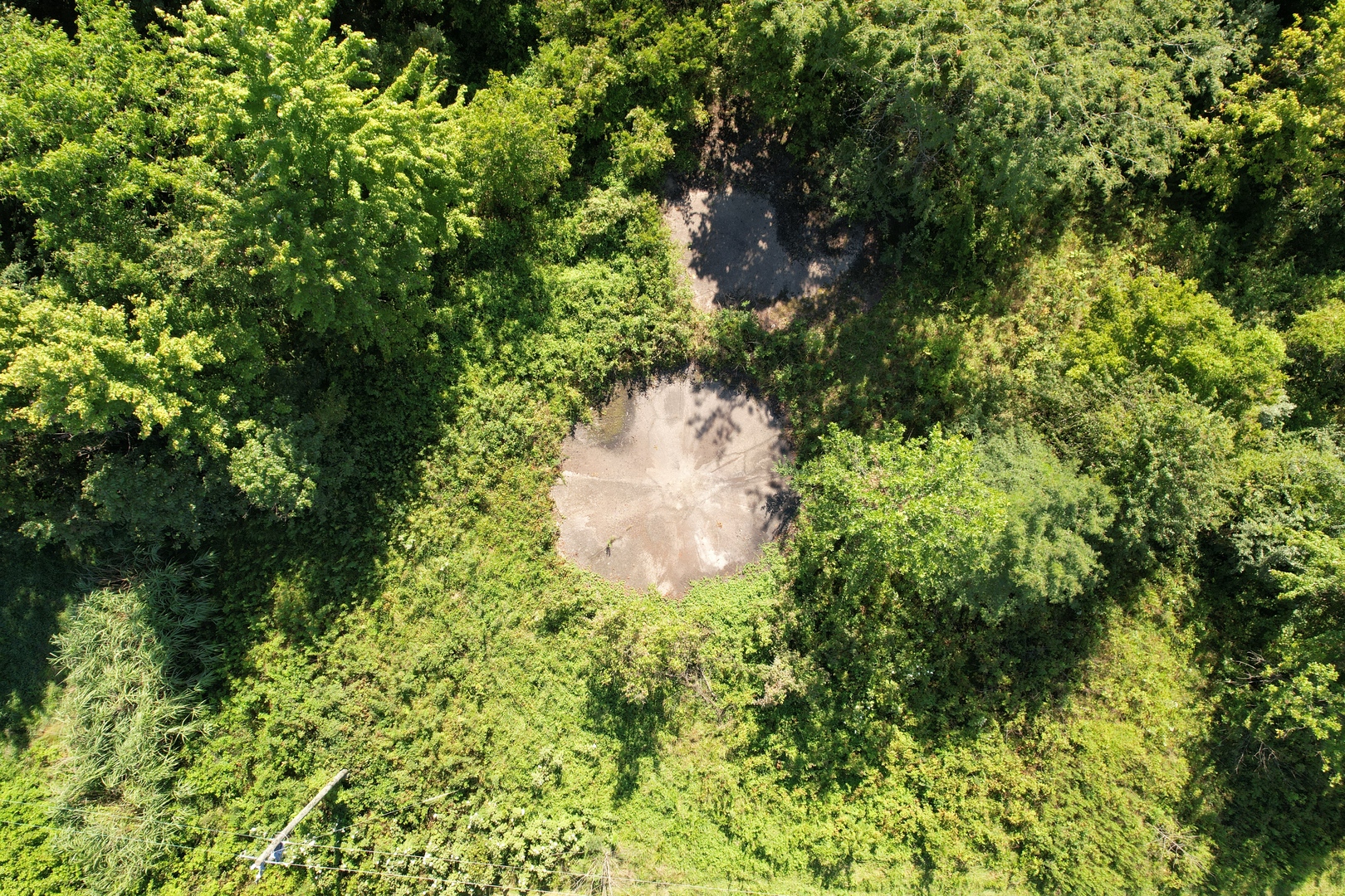 Tract 3 Mayflower Road Clay City, IL 62824 - Photo 10 of 28 a close up of a plant in a garden