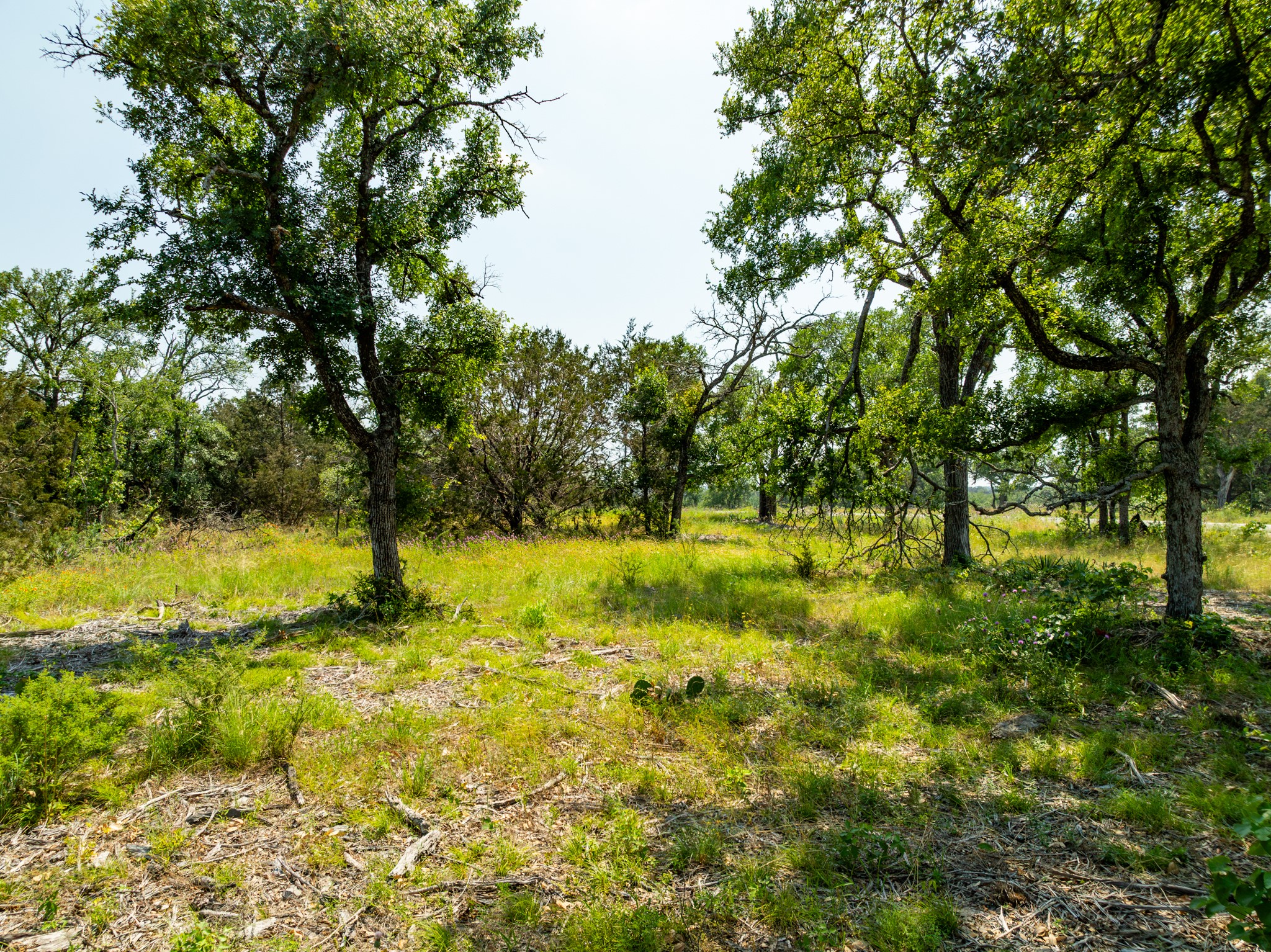 Tbd Tbd Pitchfork Ranch Road Copperas Cove, TX 76522 - Photo 10 of 35 a view of yard with green space