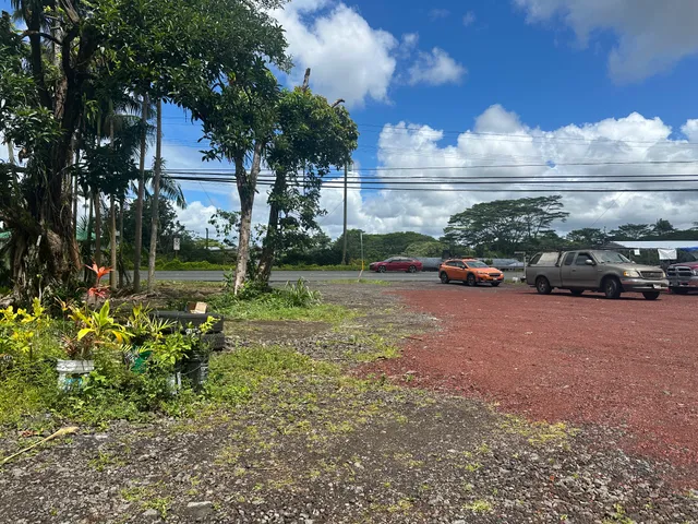 a view of a yard with cars park