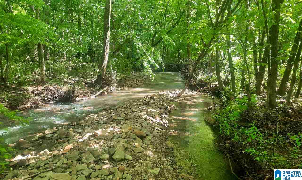 0 Mountain Gap Road, Unit 27 ACRES Cleveland, AL 35049 - Photo 3 of 7