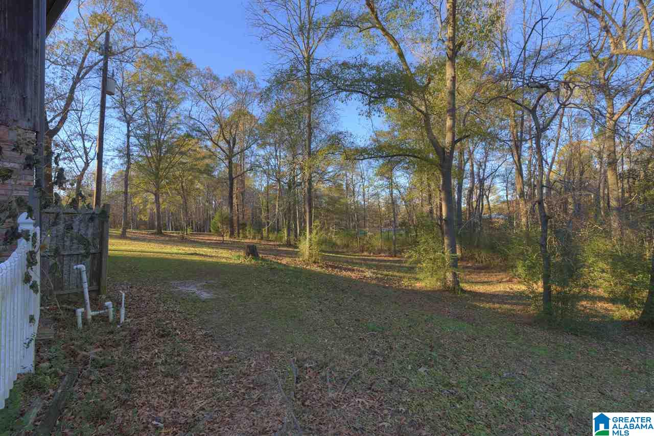 1608 East Ridgewood Road Jasper, AL 35504 - Photo 6 of 22