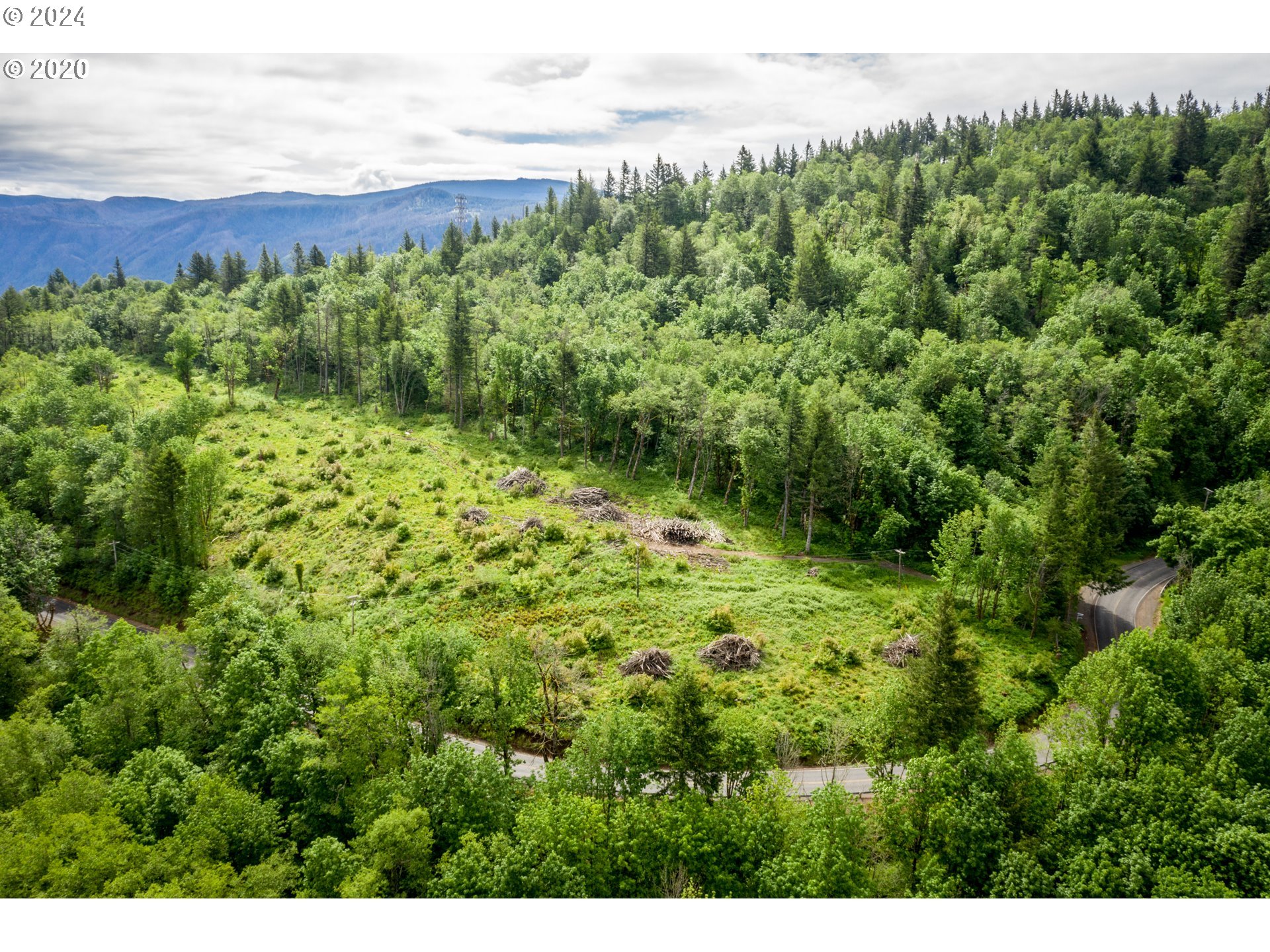 Mt Pleasant Road Washougal, WA 98671 - Photo 1 of 29 a view of a garden with a building in the background