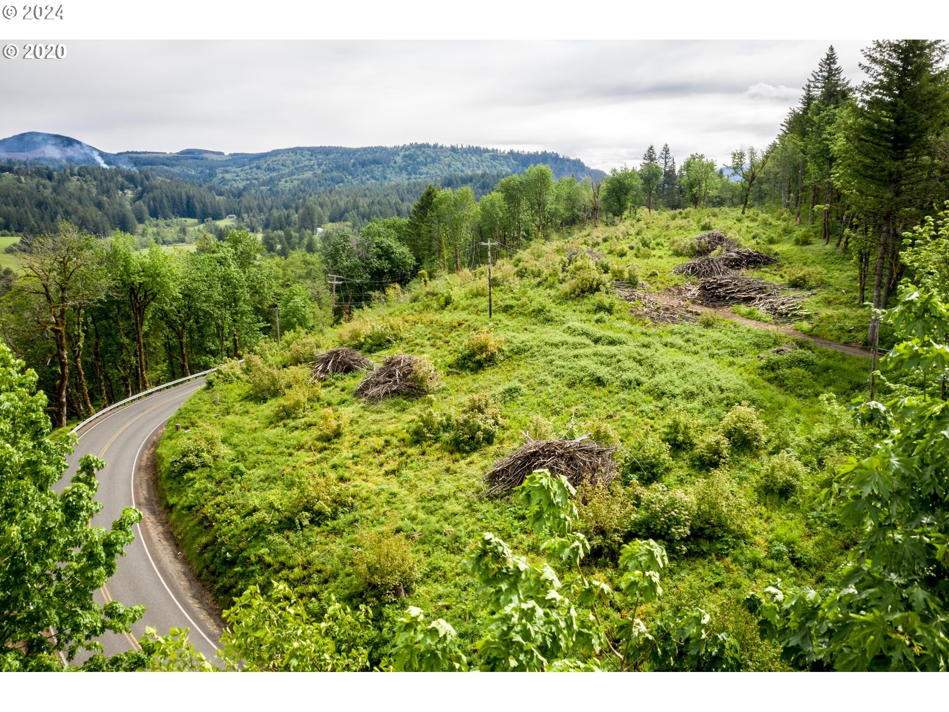 Mt Pleasant Road Washougal, WA 98671 - Photo 12 of 29 a view of a lush green forest with trees in the background