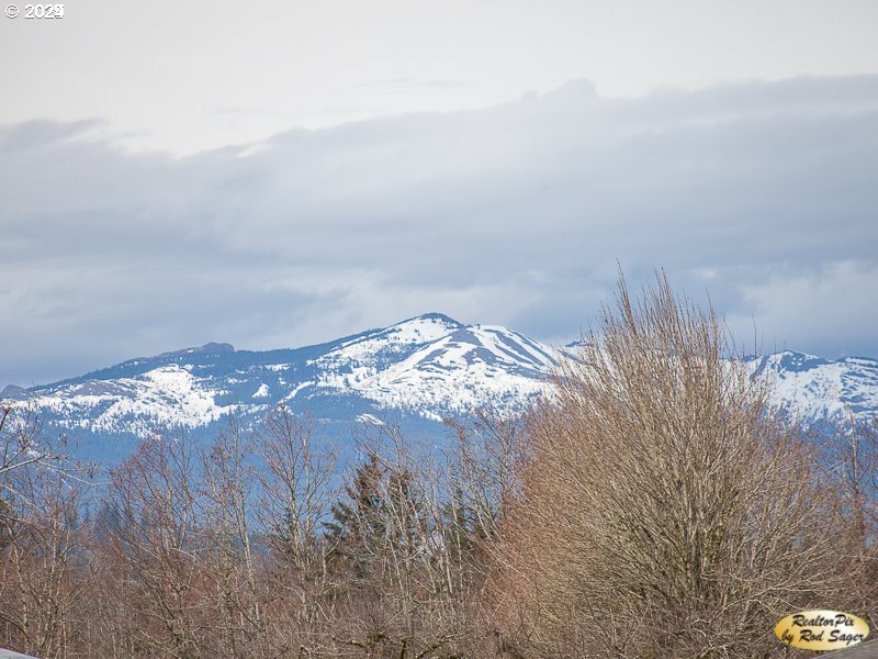 Mt Pleasant Road Washougal, WA 98671 - Photo 14 of 29 a view of water with an outdoor space