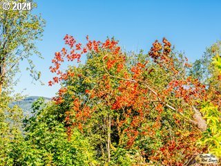 Mt Pleasant Road Washougal, WA 98671 - Photo 16 of 29