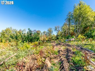 Mt Pleasant Road Washougal, WA 98671 - Photo 17 of 29 a view of a field