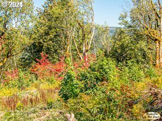 Mt Pleasant Road Washougal, WA 98671 - Photo 19 of 29