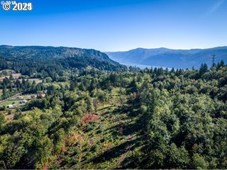 Mt Pleasant Road Washougal, WA 98671 - Photo 21 of 29 a view of a lush green field with mountains in the background