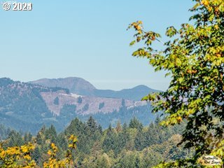 Mt Pleasant Road Washougal, WA 98671 - Photo 22 of 29 a view of a tree in a field with a mountain in the background