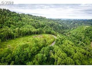 Mt Pleasant Road Washougal, WA 98671 - Photo 23 of 29 a view of a field with an ocean view