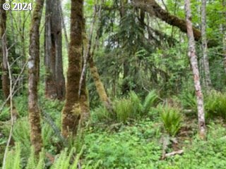 Mt Pleasant Road Washougal, WA 98671 - Photo 24 of 29 a view of a forest