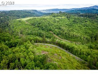 Mt Pleasant Road Washougal, WA 98671 - Photo 25 of 29 a view of a lush green hillside and a houses
