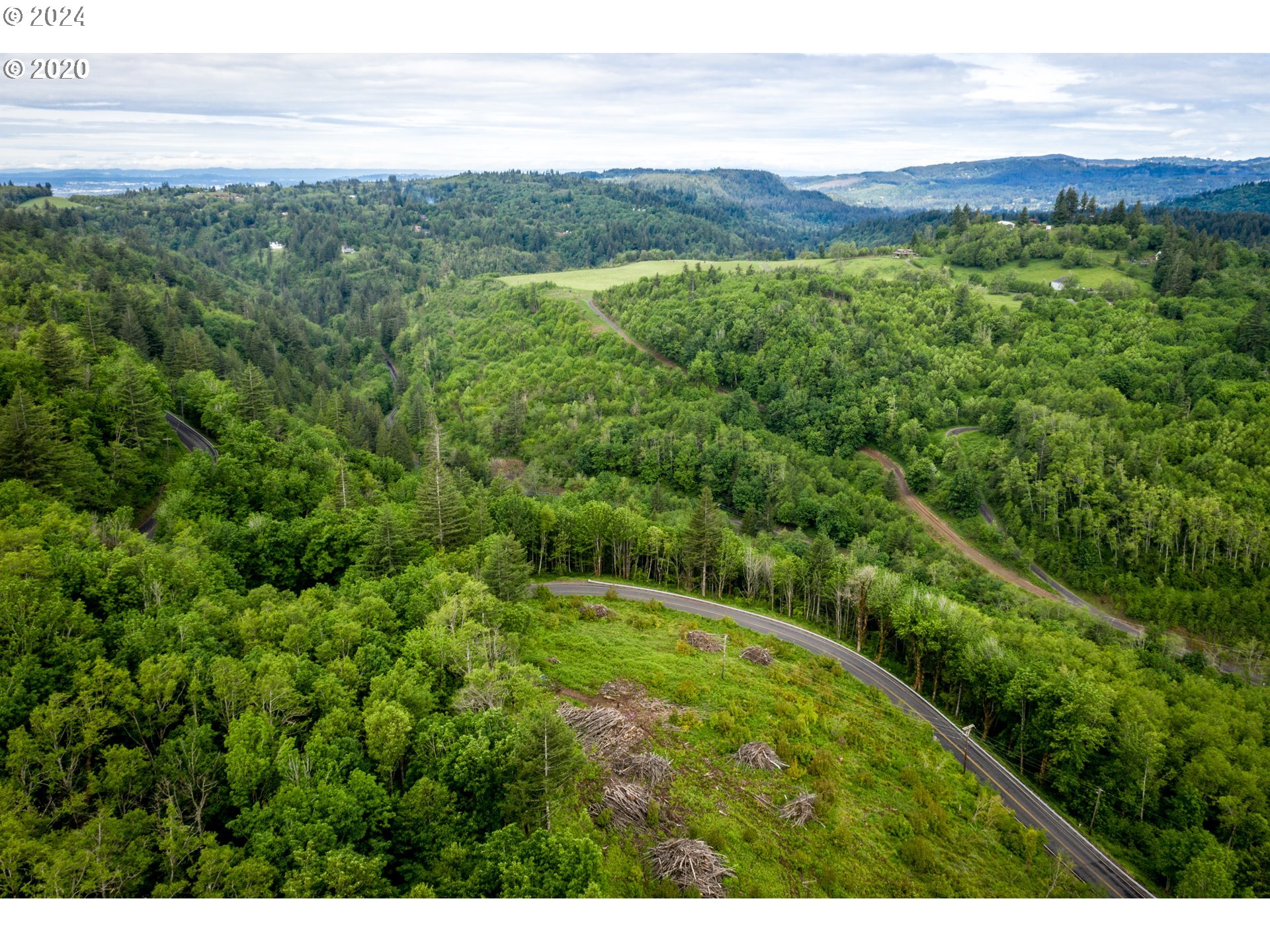 Mt Pleasant Road Washougal, WA 98671 - Photo 5 of 29 a view of a lush green space with sea