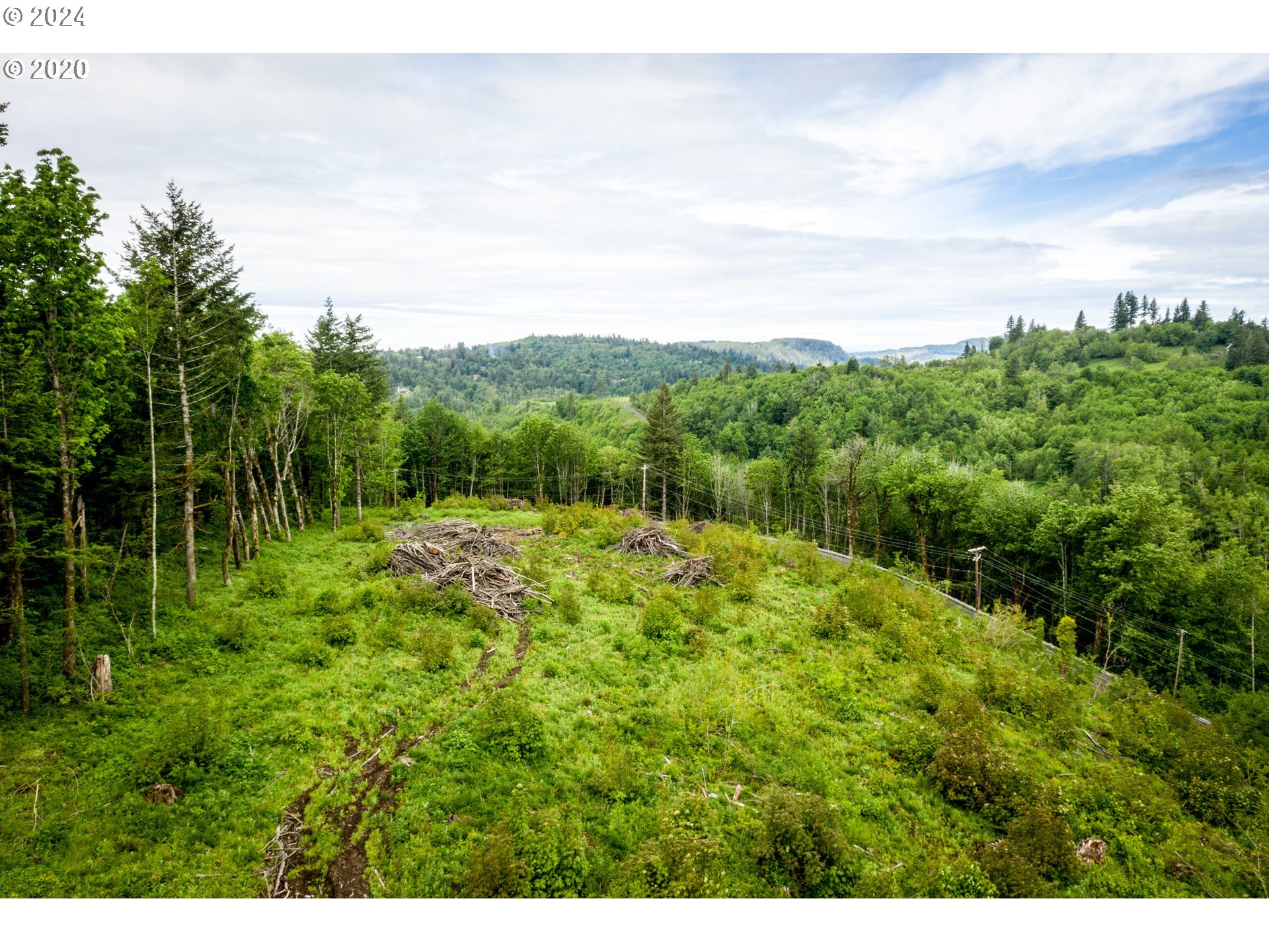 Mt Pleasant Road Washougal, WA 98671 - Photo 6 of 29 a view of a lush green forest with lots of trees
