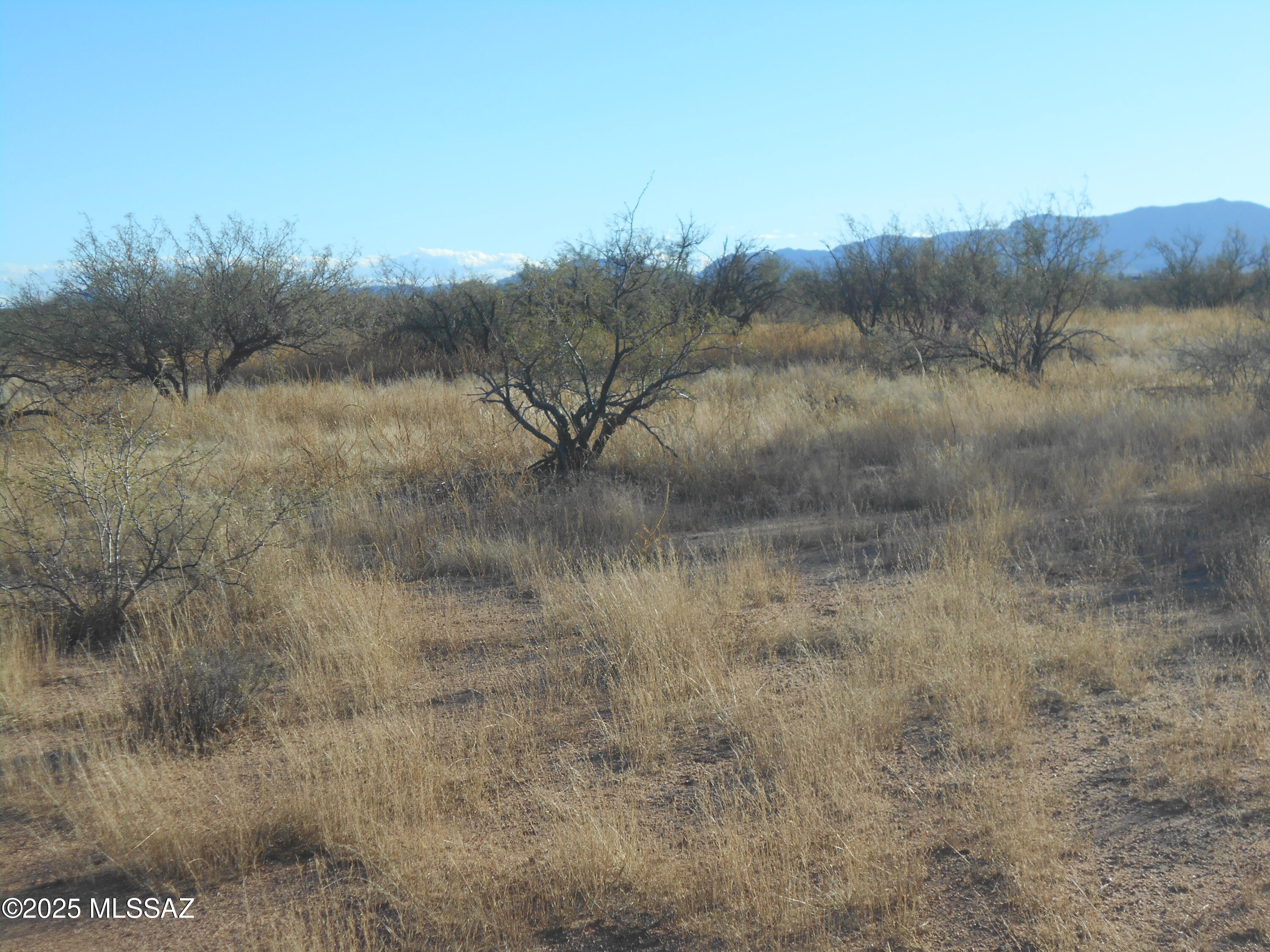 4.25-acres Eastland Road, Unit 8 Cochise, AZ 85606 - Photo 15 of 35