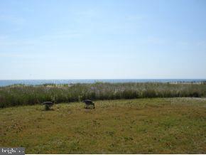 31929 Surf Road Bethany Beach, DE 19930 - Photo 6 of 6 Gallery Image 6