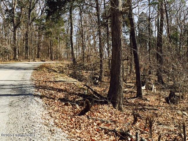 860 Shores Road Falls Of Rough, KY 40119 - Photo 3 of 10 20150316222627124171000000-o