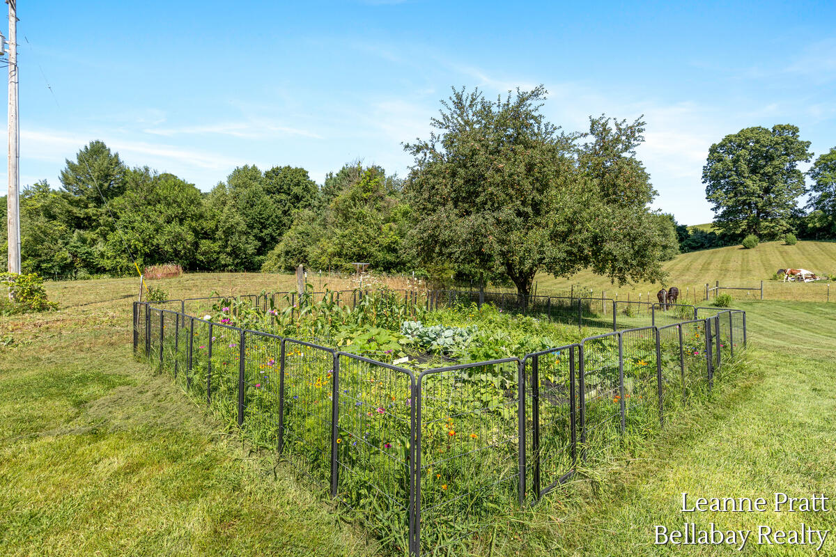 875 East Sager Road Hastings, MI 49058 - Photo 12 of 37 875-E-Sager_029