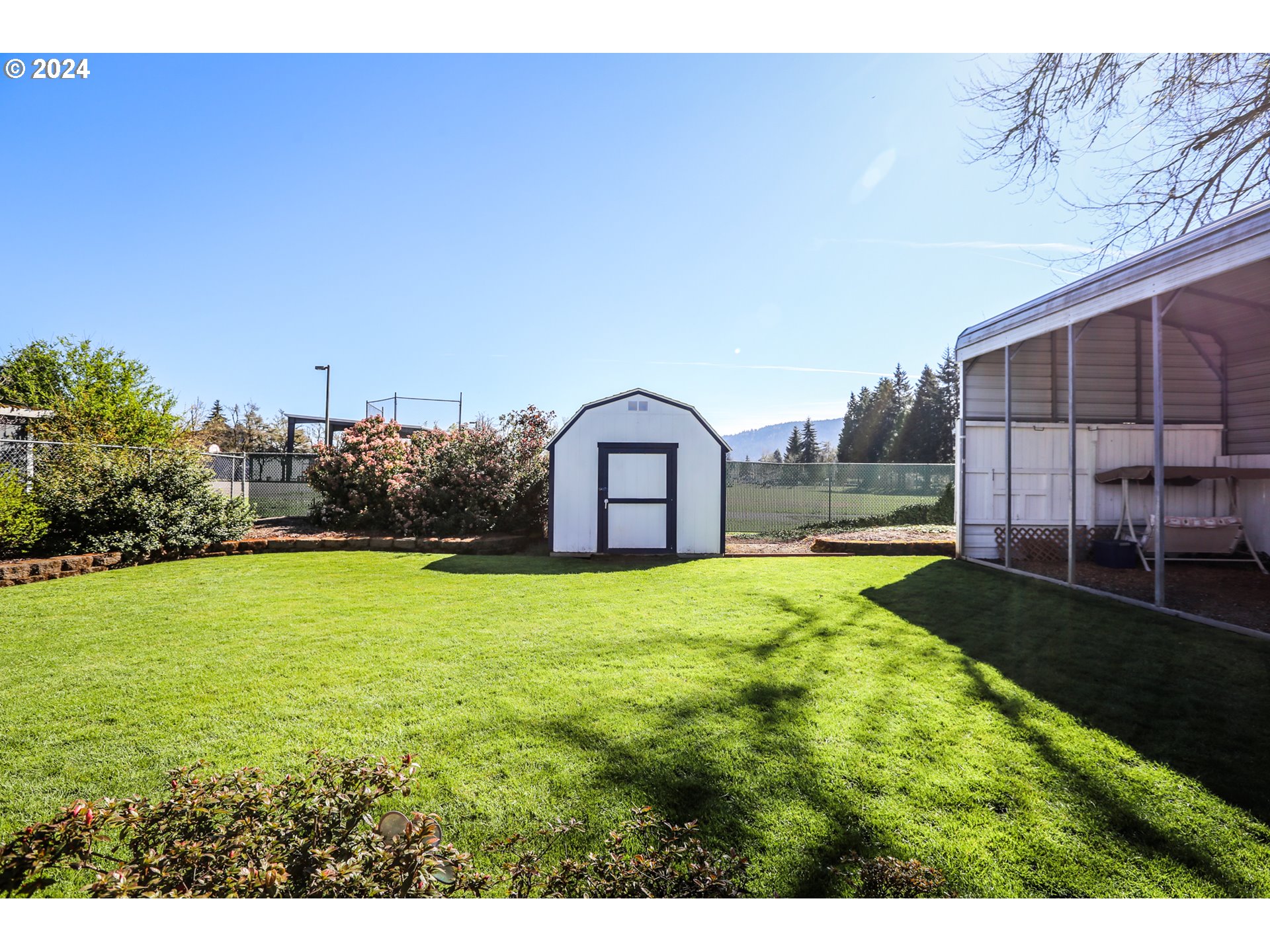 431 65th Street Springfield, OR 97478 - Photo 7 of 32 a view of a backyard