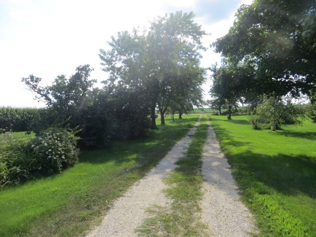 30702 North 1700th Road East Odell, IL 61313 - Photo 10 of 32 a view of a park with trees