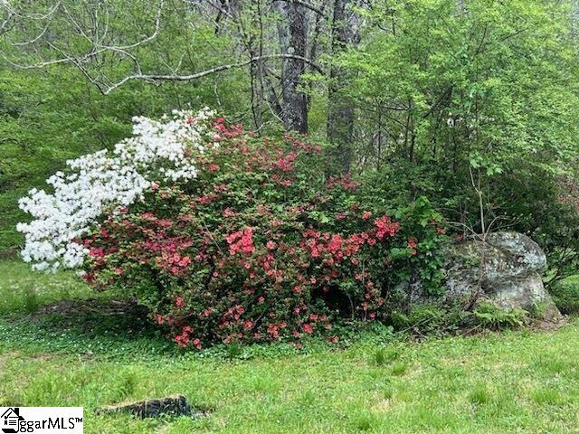 814 New Hope Road Pickens, SC 29671 - Photo 34 of 35