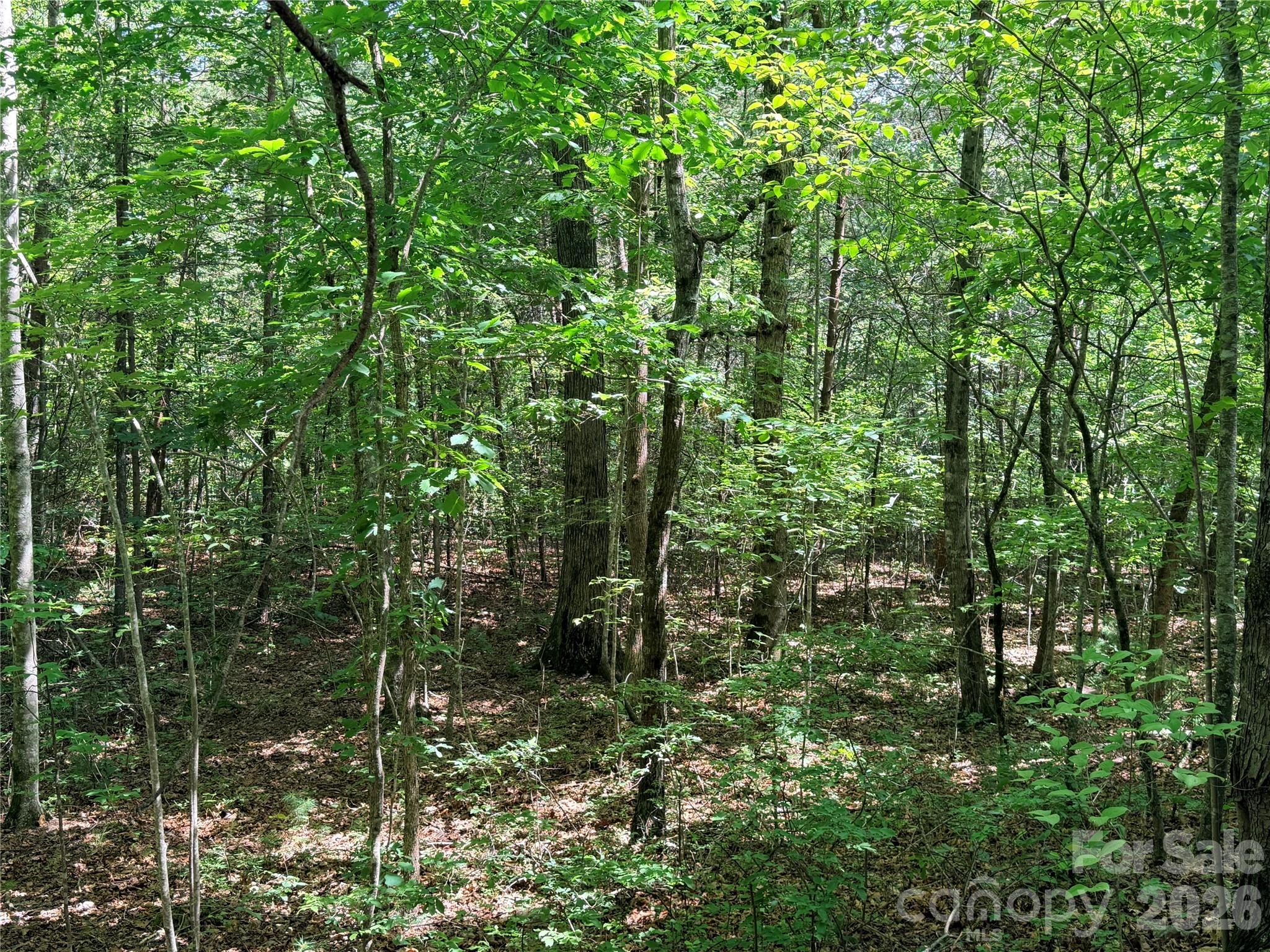 0 Grassy Knob Road, Unit 5 Mill Spring, NC 28756 - Photo 6 of 10