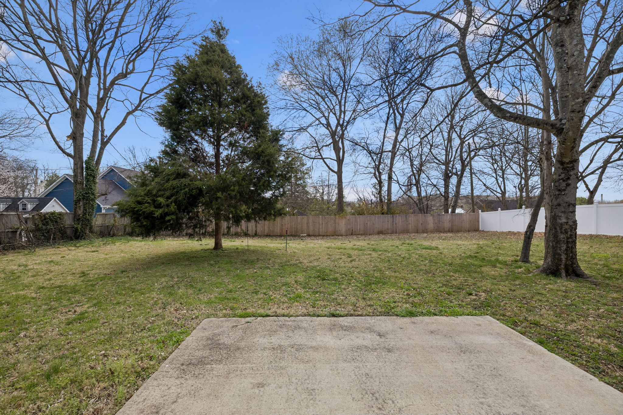 504 5th Avenue West Springfield, TN 37172 - Photo 43 of 57 a view of backyard with green space