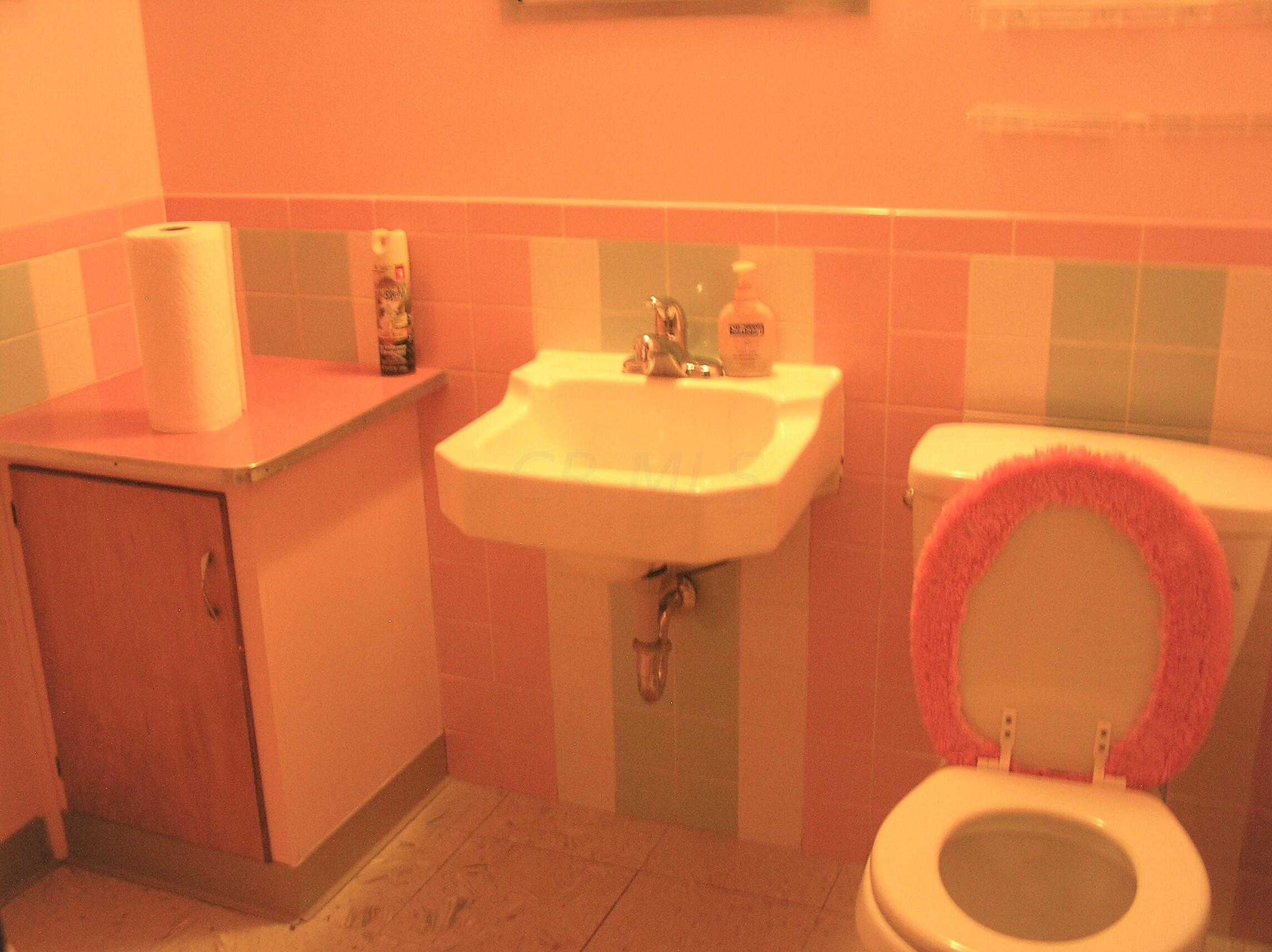 4800 Esterbrook Road Columbus, OH 43229 - Photo 28 of 32 DOWNSTAIRS BATH