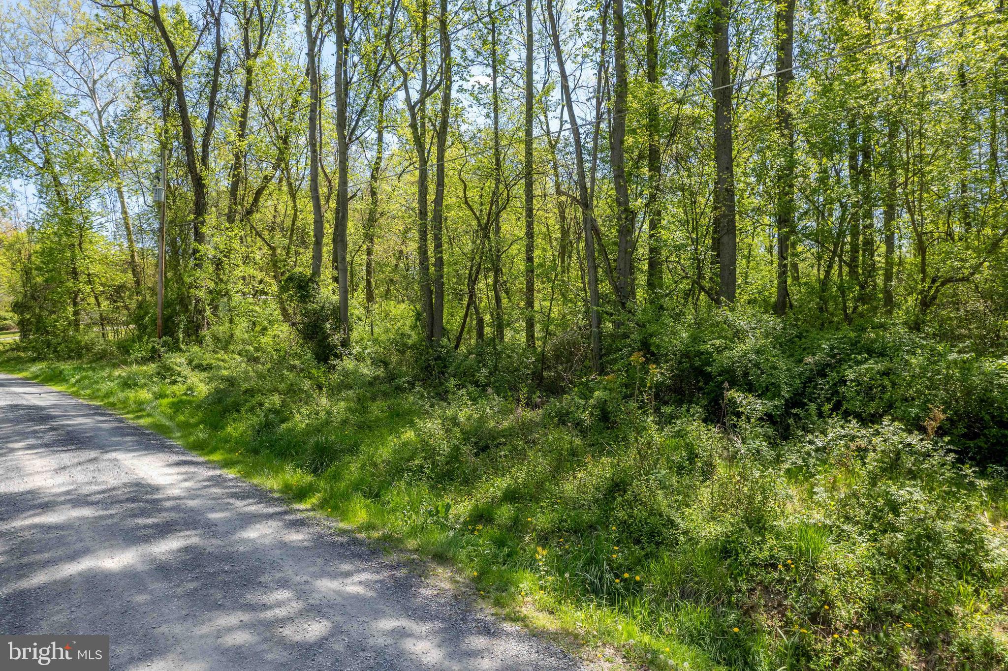 Lot 33 Cool Hollow Road Falling Waters, WV 25419 - Photo 4 of 11 Gallery Image 4