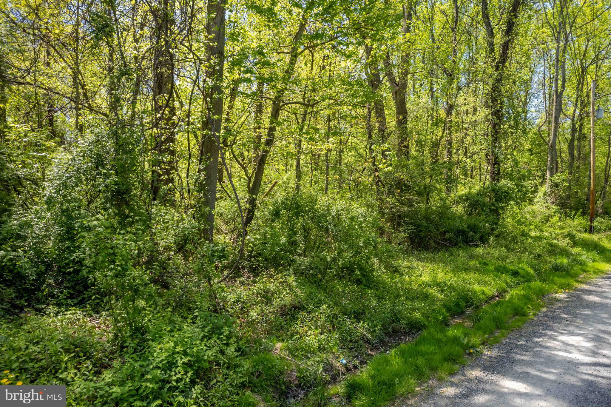 Lot 33 Cool Hollow Road Falling Waters, WV 25419 - Photo 5 of 11 Gallery Image 5