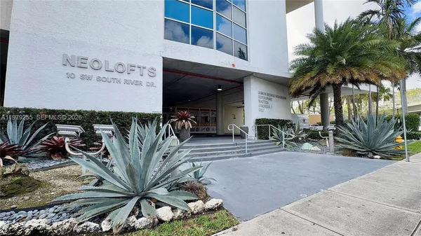 a view of a potted plants with palm trees