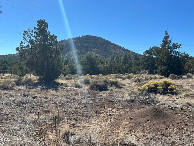 a view of a covered with trees in the background