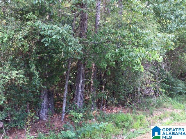 3505 Spring Valley Road Anniston, AL 36207 - Photo 29 of 45